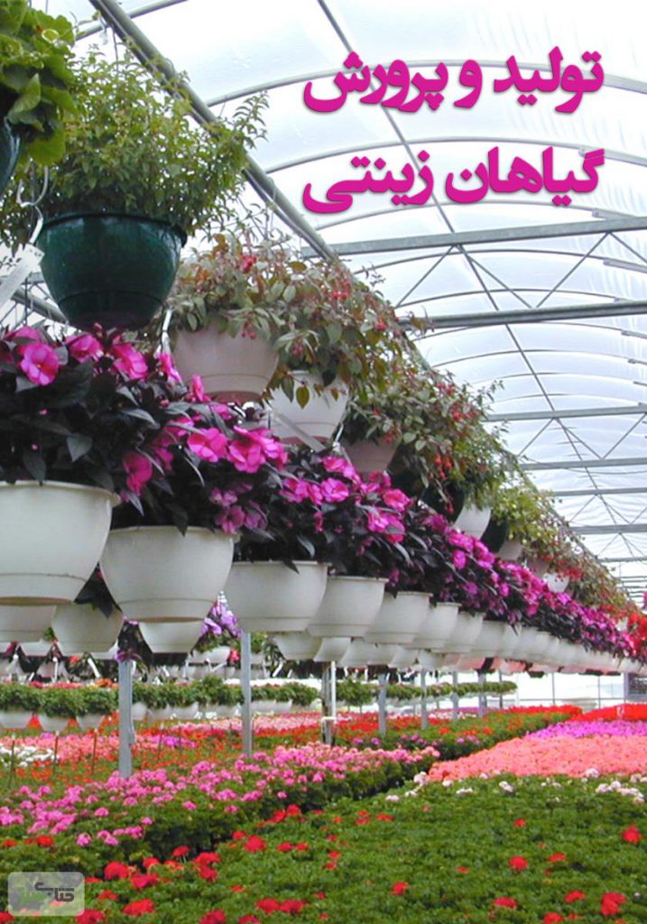 دانلود پروژه کارآفرینی تولید گلهای زینتی